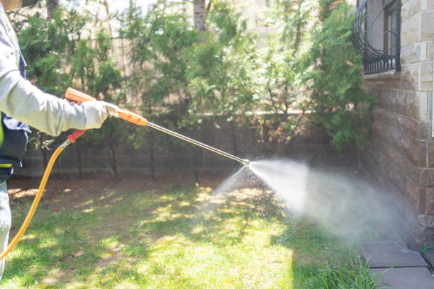 Best Insect Control  in Tice, FL