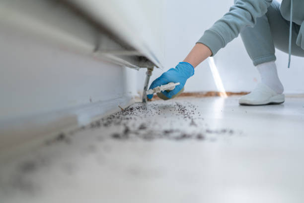 Best Emergency Pest Control  in Tice, FL